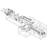 ZX-50T Carton Packer